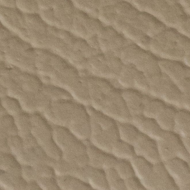 Beige leather swatch