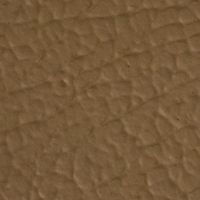 Butterscotch leather swatch